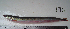  ( - ATS-196)  @14 [ ] CreativeCommons - Attribution Share-Alike (2013) Unspecified Roseland University Prep