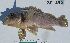  ( - RE-272)  @11 [ ] CreativeCommons - Attribution Share-Alike (2013) Unspecified Reseda Science Magnet