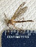  ( - 18_UNE_DL_12)  @11 [ ] CreativeCommons - Attribution Share-Alike (2018) Unspecified University of New England