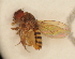  ( - Duke.Bio203L.S19.FD2.3)  @11 [ ] CreativeCommons - Attribution Share-Alike (2019) Unspecified Duke University