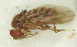  ( - Duke.Bio203L.S19.RA3.3A)  @11 [ ] CreativeCommons - Attribution Share-Alike (2019) Unspecified Duke University