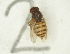  ( - Duke.Bio203L.S19.RC3.2)  @11 [ ] CreativeCommons - Attribution Share-Alike (2019) Unspecified Duke University