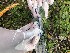  ( - Group 1_Sample 3)  @11 [ ] CreativeCommons - Attribution Share-Alike (2019) Unspecified AUA