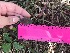  ( - group3_18)  @11 [ ] CreativeCommons - Attribution Share-Alike (2019) Unspecified AUA