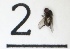  ( - DKU.Biol201.F19.TC3.2)  @11 [ ] CreativeCommons - Attribution Share-Alike (2019) Unspecified Duke Kunshan University