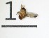  ( - DKU.Biol201.F19.TD2.1)  @11 [ ] CreativeCommons - Attribution Share-Alike (2019) Unspecified Duke Kunshan University
