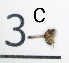  ( - DKU.Biol201.F19.WB3.3)  @11 [ ] CreativeCommons - Attribution Share-Alike (2019) Unspecified Duke Kunshan University