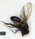  ( - DKU.Biol201.F19.TA1.1)  @11 [ ] CreativeCommons - Attribution Share-Alike (2019) Unspecified Duke Kunshan University