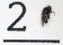  ( - DKU.BIOL201.F19.TA2.2)  @11 [ ] CreativeCommons - Attribution Share-Alike (2019) Unspecified Duke Kunshan University