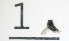  ( - DKU.Biol201.F19.TB1.1)  @11 [ ] CreativeCommons - Attribution Share-Alike (2019) Unspecified Duke Kunshan University