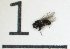  ( - DKU.Biol201.F19.TB3.1)  @11 [ ] CreativeCommons - Attribution Share-Alike (2019) Unspecified Duke Kunshan University