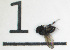  ( - DKU.Biol201.F19.TB4.1)  @11 [ ] CreativeCommons - Attribution Share-Alike (2019) Unspecified Duke Kunshan University