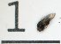  ( - DKU.Biol201.F19.TC4.1)  @11 [ ] CreativeCommons - Attribution Share-Alike (2019) Unspecified Duke Kunshan University