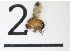  ( - DKU.Biol201.F19.TD1.2)  @11 [ ] CreativeCommons - Attribution Share-Alike (2019) Unspecified Duke Kunshan University