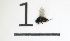  ( - DKU.Biol201.F19.WB2.1)  @11 [ ] CreativeCommons - Attribution Share-Alike (2019) Unspecified Duke Kunshan University