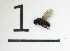  ( - DKU.Biol201.F19.WC3.1)  @11 [ ] CreativeCommons - Attribution Share-Alike (2019) Unspecified Duke Kunshan University