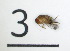  ( - DKU.Biol201.F19.WC3.3)  @11 [ ] CreativeCommons - Attribution Share-Alike (2019) Unspecified Duke Kunshan University