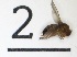  ( - DKU.Biol201.F19.WC4.2)  @11 [ ] CreativeCommons - Attribution Share-Alike (2019) Unspecified Duke Kunshan University
