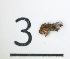 ( - DKU.Biol201.F19.WC4.3)  @11 [ ] CreativeCommons - Attribution Share-Alike (2019) Unspecified Duke Kunshan University