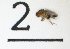  ( - DKU.Biol201.F19.TD3.2)  @11 [ ] CreativeCommons - Attribution Share-Alike (2019) Unspecified Duke Kunshan University