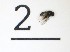  ( - DKU.Biol201.F19.WA1.2)  @11 [ ] CreativeCommons - Attribution Share-Alike (2019) Unspecified Duke Kunshan University