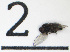  ( - DKU.Biol201.F19.WA2.2)  @11 [ ] CreativeCommons - Attribution Share-Alike (2019) Unspecified Duke Kunshan University