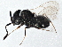  ( - BIOUG08850-A05)  @14 [ ] CreativeCommons - Attribution (2014) CBG Photography Group Centre for Biodiversity Genomics