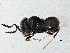  ( - BIOUG08850-D06)  @13 [ ] CreativeCommons - Attribution (2014) CBG Photography Group Centre for Biodiversity Genomics