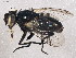  ( - BIOUG08811-H05)  @12 [ ] CreativeCommons - Attribution (2014) CBG Photography Group Centre for Biodiversity Genomics