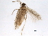  ( - BIOUG08783-D11)  @12 [ ] CreativeCommons - Attribution (2014) CBG Photography Group Centre for Biodiversity Genomics