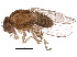  ( - BIOUG10124-D05)  @11 [ ] CreativeCommons - Attribution (2015) CBG Photography Group Centre for Biodiversity Genomics