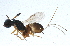  ( - BIOUG13871-A12)  @13 [ ] CreativeCommons - Attribution (2014) CBG Photography Group Centre for Biodiversity Genomics