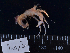  ( - MB-A066765)  @11 [ ] CreativeCommons  Attribution Non-Commercial Share-Alike (2014) Jannes Landschoff University of Cape Town
