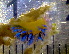  (Tenellia sp - EFBSD01)  @11 [ ] CreativeCommons - Attribution Non-Commercial No Derivatives (2014) J. Toms Stellenbosch University
