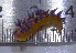  ( - EFBSD02)  @11 [ ] CreativeCommons - Attribution Non-Commercial No Derivatives (2014) J. Toms Stellenbosch University