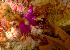  ( - EFBSD02)  @11 [ ] CreativeCommons - Attribution Non-Commercial No Derivatives (2014) J. Toms Stellenbosch University
