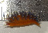  ( - EFBSD04)  @11 [ ] CreativeCommons - Attribution Non-Commercial No Derivatives (2014) J. Toms Stellenbosch University