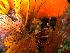  ( - EFBSD04)  @11 [ ] CreativeCommons - Attribution Non-Commercial No Derivatives (2014) J. Toms Stellenbosch University