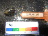  ( - MM14-080)  @11 [ ] CreativeCommons - Attribution Share-Alike (2014) Unspecified South African Institute for Aquatic Biodiversity