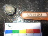 ( - MM14-080)  @11 [ ] CreativeCommons - Attribution Share-Alike (2014) Unspecified South African Institute for Aquatic Biodiversity
