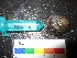  ( - MM14-116)  @11 [ ] CreativeCommons - Attribution Share-Alike (2014) Unspecified South African Institute for Aquatic Biodiversity