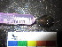  ( - MM14-117)  @11 [ ] CreativeCommons - Attribution Share-Alike (2014) Unspecified South African Institute for Aquatic Biodiversity