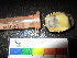  ( - MM14-118)  @11 [ ] CreativeCommons - Attribution Share-Alike (2014) Unspecified South African Institute for Aquatic Biodiversity