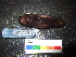 ( - MM14-159)  @11 [ ] CreativeCommons - Attribution Share-Alike (2014) Unspecified South African Institute for Aquatic Biodiversity