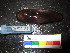  ( - MM14-159)  @11 [ ] CreativeCommons - Attribution Share-Alike (2014) Unspecified South African Institute for Aquatic Biodiversity