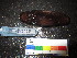  ( - MM14-159)  @11 [ ] CreativeCommons - Attribution Share-Alike (2014) Unspecified South African Institute for Aquatic Biodiversity