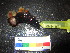  ( - MM14-162)  @11 [ ] CreativeCommons - Attribution Share-Alike (2014) Unspecified South African Institute for Aquatic Biodiversity