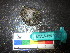  ( - MM14-164)  @11 [ ] CreativeCommons - Attribution Share-Alike (2014) Unspecified South African Institute for Aquatic Biodiversity