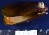  ( - DB 14)  @11 [ ] CreativeCommons - Attribution Non-Commercial Share-Alike (2014) Jessica Micklem University of Cape Town