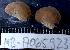  ( - MB-A065923.1)  @11 [ ] CreativeCommons  Attribution Non-Commercial Share-Alike (2014) Jannes Landschoff University of Cape Town